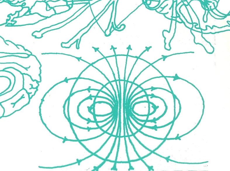 parabola-is-the-most-beautiful-word-in-the-english-language-sirianna