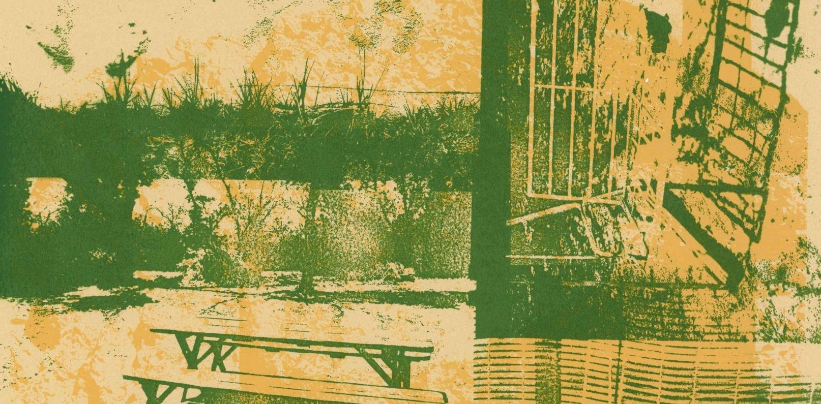 Features The Gravity of the Thing