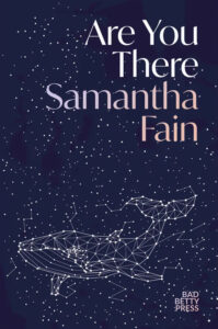 Cover Art for Are You There, which features a starry constellation in the shape of a whale on a dark blue background. 